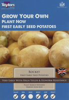 First POTATO ROCKET 10 pack