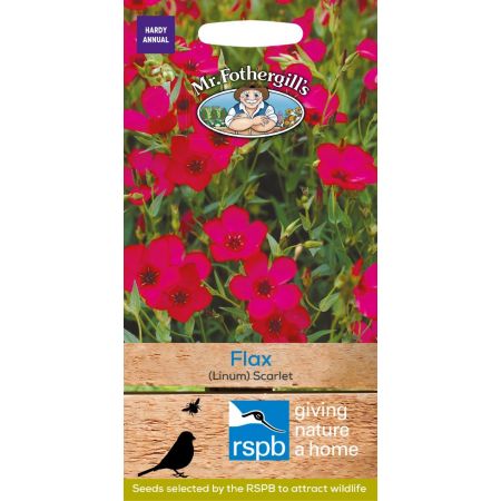 UK/FO-FLAX (Linum) Scarlet - image 1