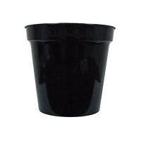 Flower Pot Black 10In