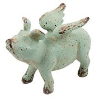 Flying Pig