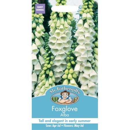 UK/FO-FOXGLOVE Alba - image 1