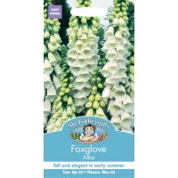UK/FO-FOXGLOVE Alba - image 1