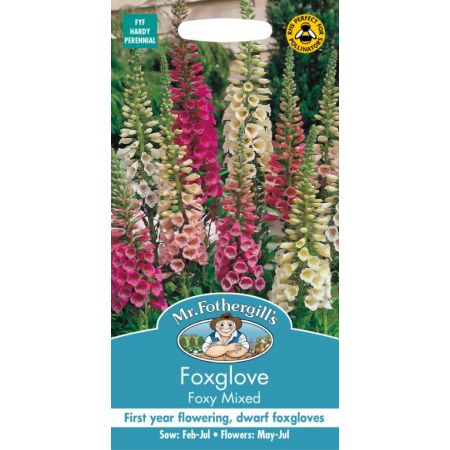 UK/FO-FOXGLOVE Foxy Mixed - image 1
