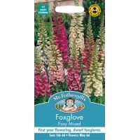 UK/FO-FOXGLOVE Foxy Mixed - image 1