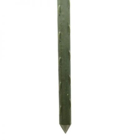 Garden Stakes 2.1M X 16Mm