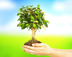 Garden Care