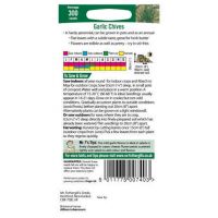 UK/FO-GARLIC CHIVES - image 2