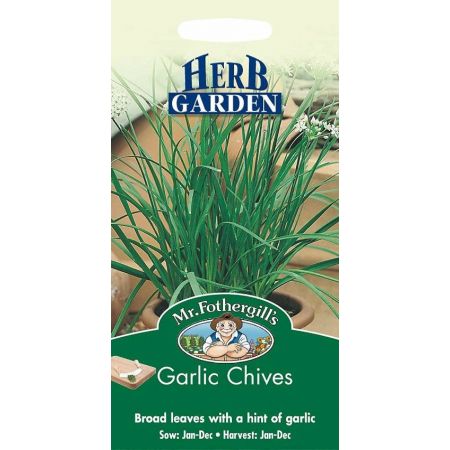 UK/FO-GARLIC CHIVES - image 1