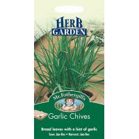 UK/FO-GARLIC CHIVES - image 1