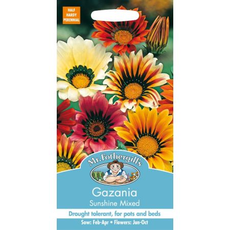 UK/FO-GAZANIA Sunshine Mixed - image 1