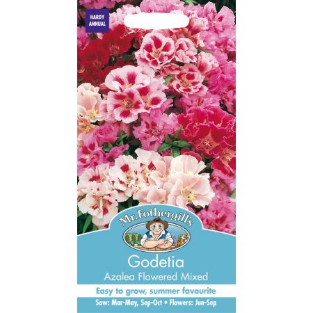 UK/FO-GODETIA Azalea Flowered Mixed - image 1