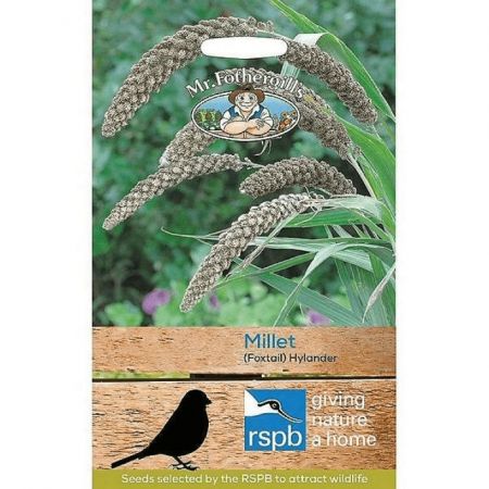 UK/FO-GRASS Foxtail Millet Hylander - image 1