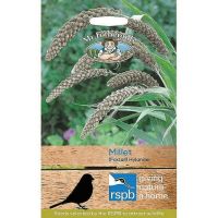 UK/FO-GRASS Foxtail Millet Hylander - image 1
