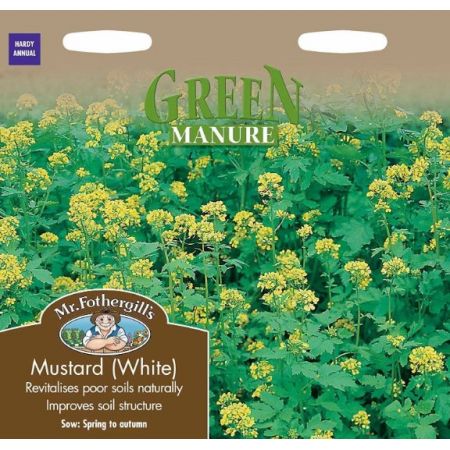 UK/FO-GREEN MANURE Mustard (White) - image 1