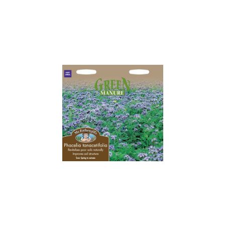UK/FO-GREEN MANURE Phacelia tanacetifolia - image 1