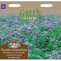 UK/FO-GREEN MANURE Phacelia tanacetifolia - image 1