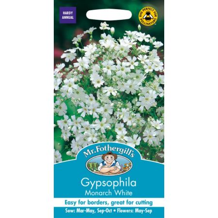 UK/FO-GYPSOPHILA Monarch White - image 1