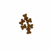 Hale & Hearty Grain Free Cheese Little Bones 400g