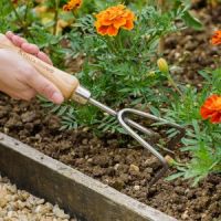 Hand 3 Prong Cultivator Stainless Steel K & S - image 3