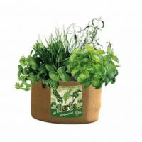 Herbs Grow Bag