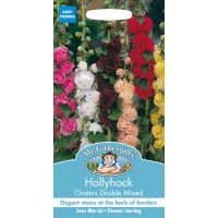 UK/FO-HOLLYHOCK Chaters Double Mixed - image 1