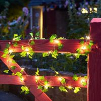 Ivy Firefly Solar String Light, 30 Leds - image 1