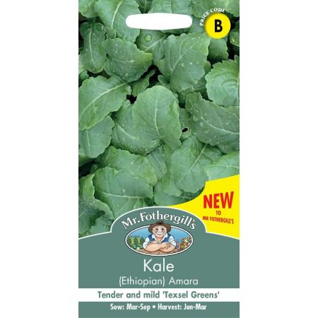 UK/FO-KALE (Ethiopian) Amara