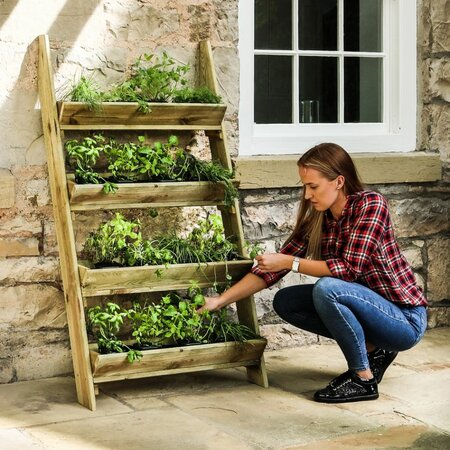 LADDER PLANTER