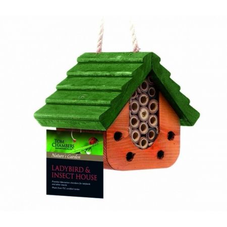 Ladybird and Insect House