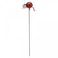 Ladybug Loony Stakes - image 4