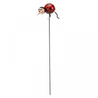 Ladybug Loony Stakes - image 4