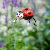 Ladybug Loony Stakes - image 5