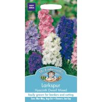 UK/FO-LARKSPUR Hyacinth Dwarf Mixed - image 1