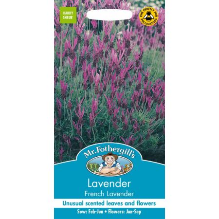 UK/FO-LAVENDER French Lavender - image 1