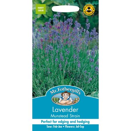 UK/FO-LAVENDER Munstead - image 1