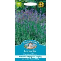 UK/FO-LAVENDER Munstead - image 1