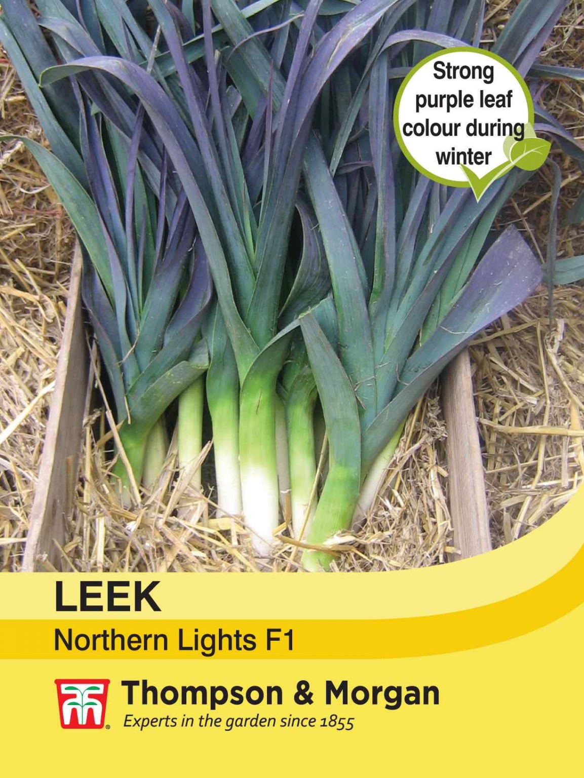 Leek Northern Lights F1 Hybrid Thirsk Garden Centre