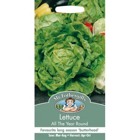 UK/FO-LETTUCE All The Year Round - image 1