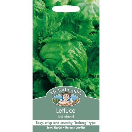 UK/FO-LETTUCE Lakeland - image 1