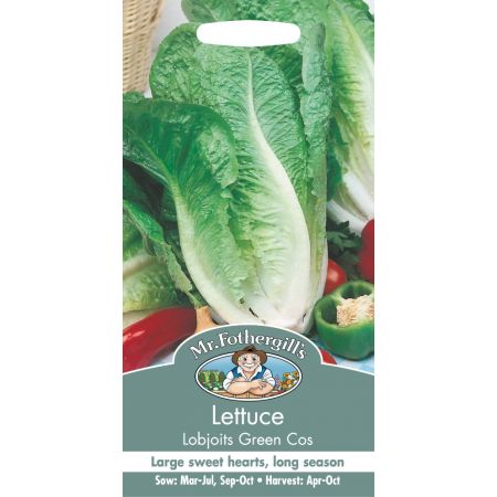 UK/FO-LETTUCE Lobjoits Green Cos - image 1
