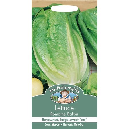 UK/FO-LETTUCE Romaine Ballon - image 1