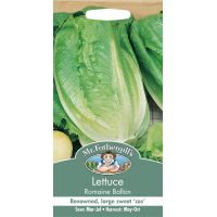 UK/FO-LETTUCE Romaine Ballon - image 1