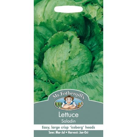 UK/FO-LETTUCE Saladin - image 1