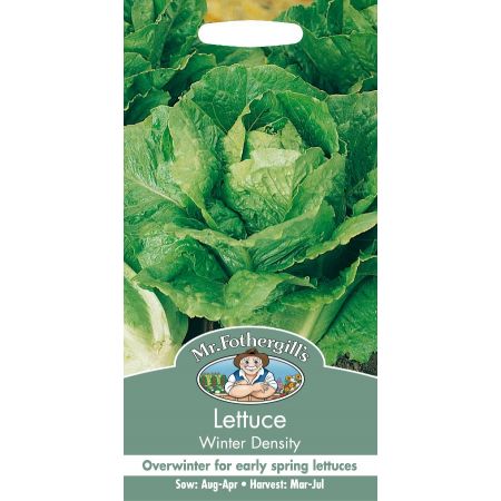UK/FO-LETTUCE Winter Density - image 1