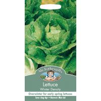 UK/FO-LETTUCE Winter Density - image 1