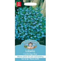 UK/FO-LOBELIA Cambridge Blue - image 1