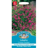 UK/FO-LOBELIA Crimson Fountain - image 1