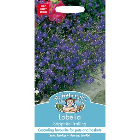 UK/FO-LOBELIA Sapphire Trailing - image 1