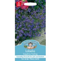 UK/FO-LOBELIA Sapphire Trailing - image 1