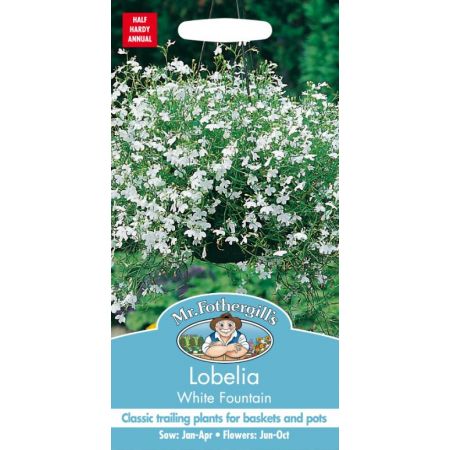 UK/FO-LOBELIA White Fountain - image 1